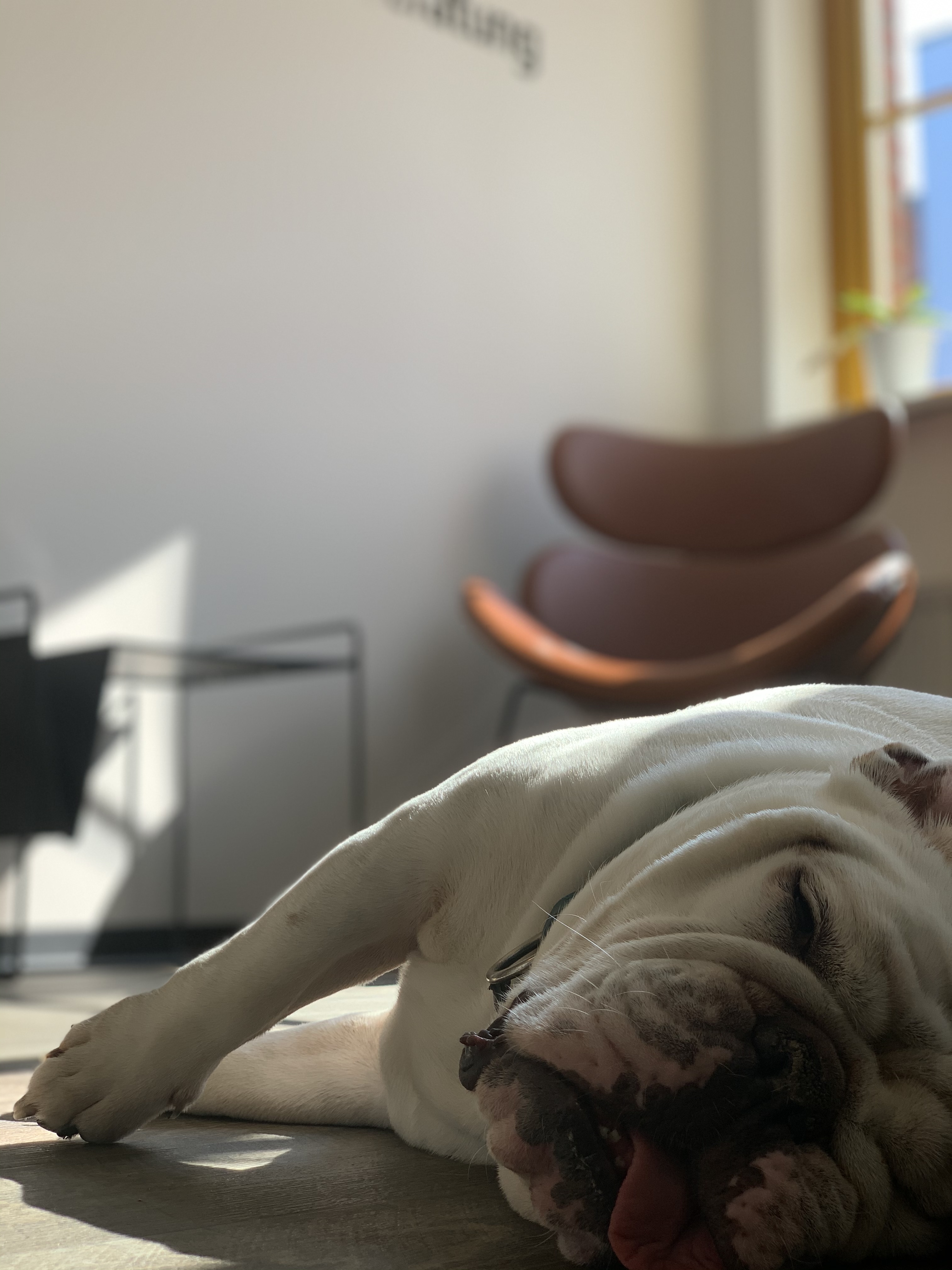 Büroatmosphäre